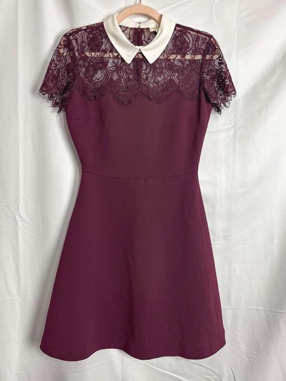 Lace Yoke A-Line Dress with Contrast Collar - Wine